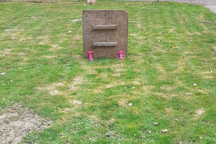 CoronaMarlenStaudacher2020Staudacher