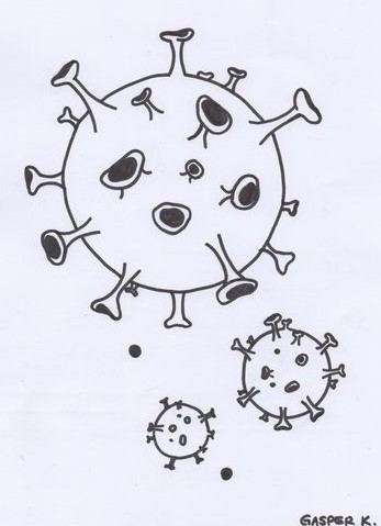 Coronavirus2021KatharinaGasper (2)